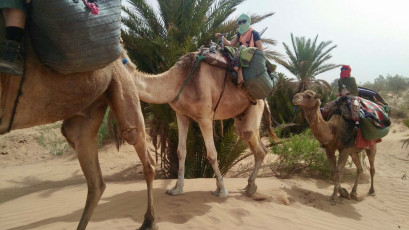 Descubre Marruecos y el desierto del Sahara-5 días-3 de actividad