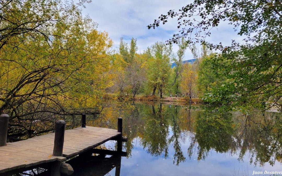 Jornada Senderista para grupos: Bosque Finlandés y mirador de Los Robledos-Rascafría