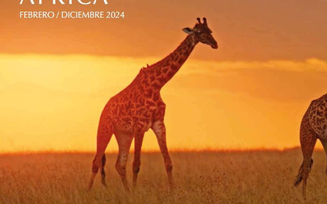 Africa Febrero/Diciembre 2024