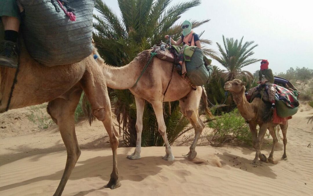 Descubre Marruecos y el desierto del Sahara-5 días-3 de actividad